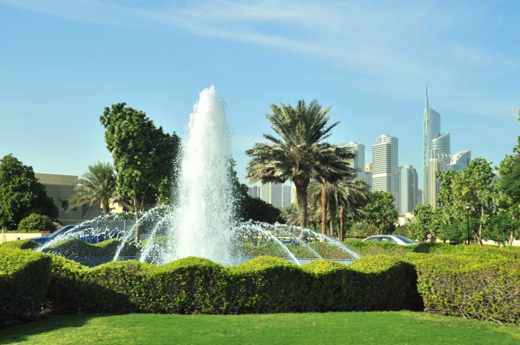 pic E Dubai plantings.JPG